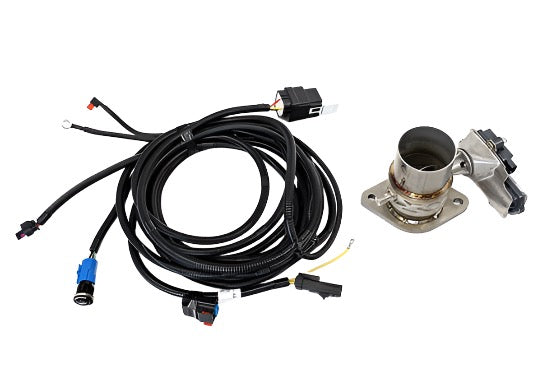 A Ford F-150 5.0L V8 exhaust gas recirculation (EGR) valve and wiring harness are presented on a white background.