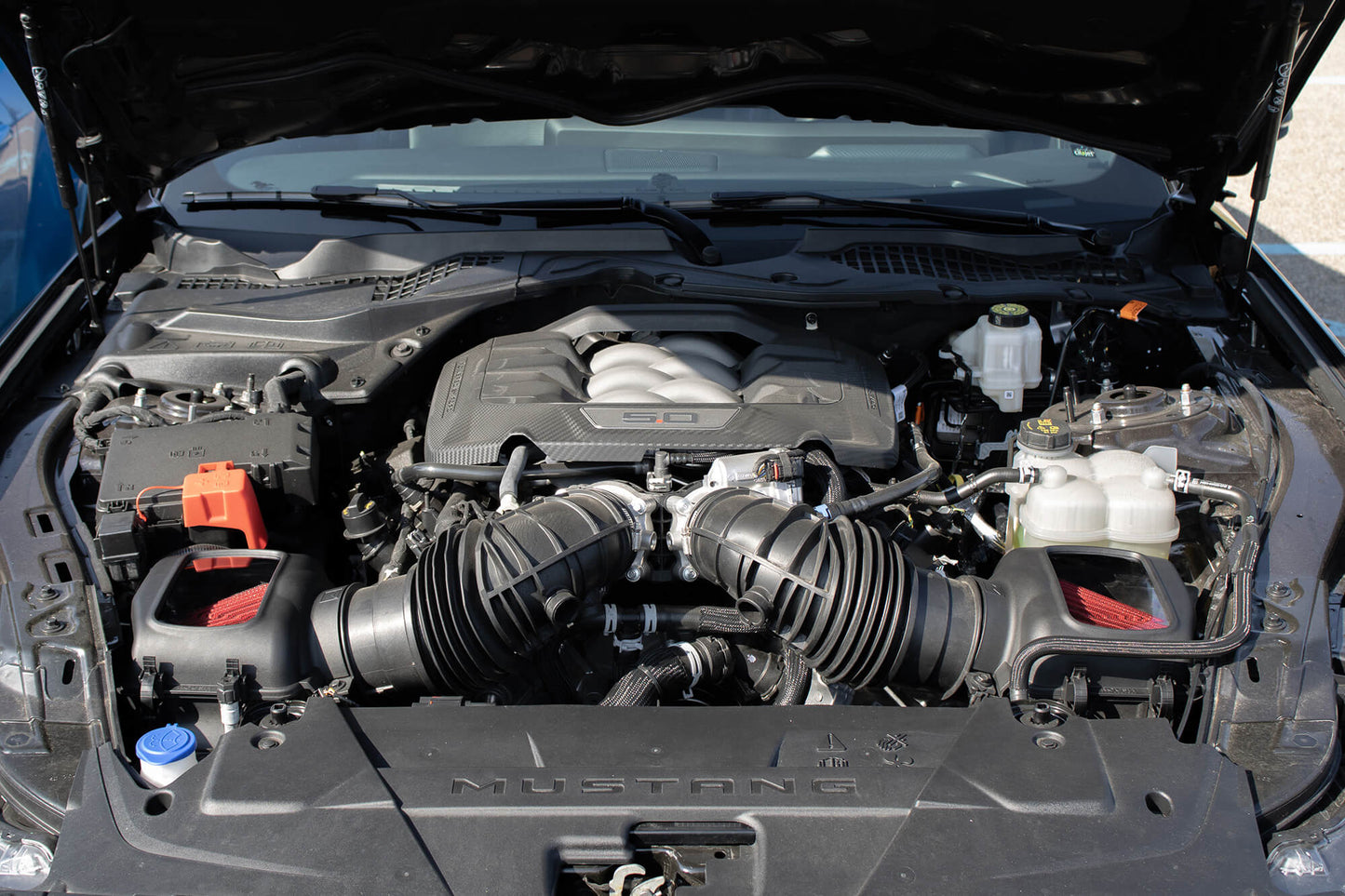 With the hood open, the Mustang 5.0L V8 engine proudly reveals its components, including Roush Performance Air Intake hoses and a sleek engine cover marked "5.0," promising increased performance and power.