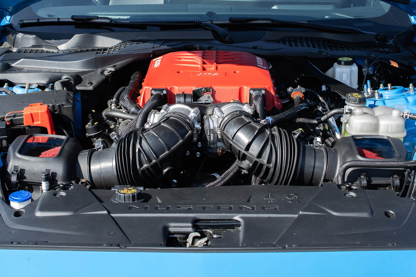 Open hood of a car displaying a powerful red engine with visible components and Mustang 5.0L V8 branding, featuring a Roush Performance Air Intake for increased performance.