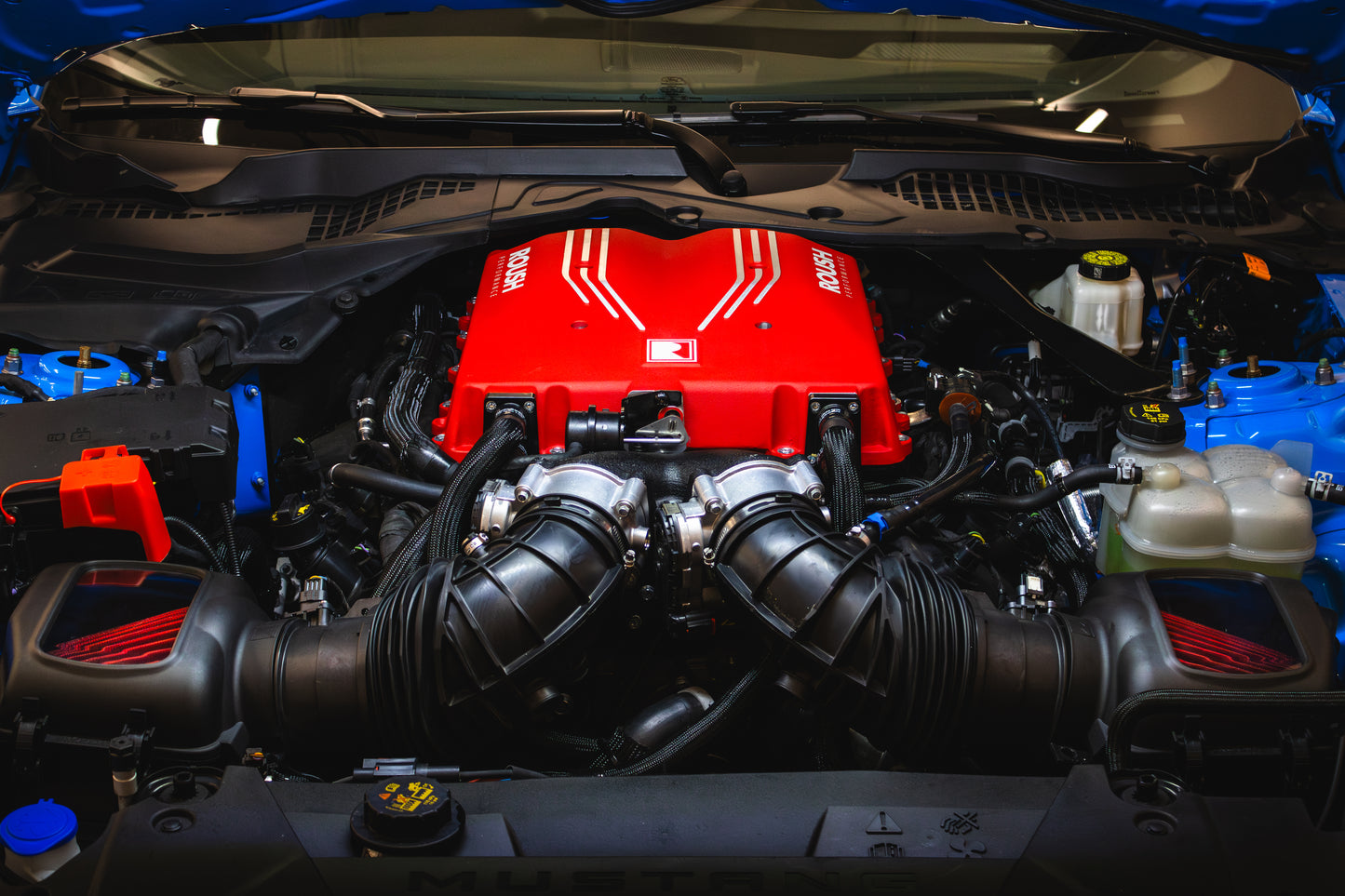 A car engine bay with a red engine cover displaying "COBRA" text reveals a meticulously organized layout. Beneath, a TVS R2650 Supercharger powers up the adrenaline to 810 horsepower, making it akin to the impressive performance of a Roush Mustang Supercharger.