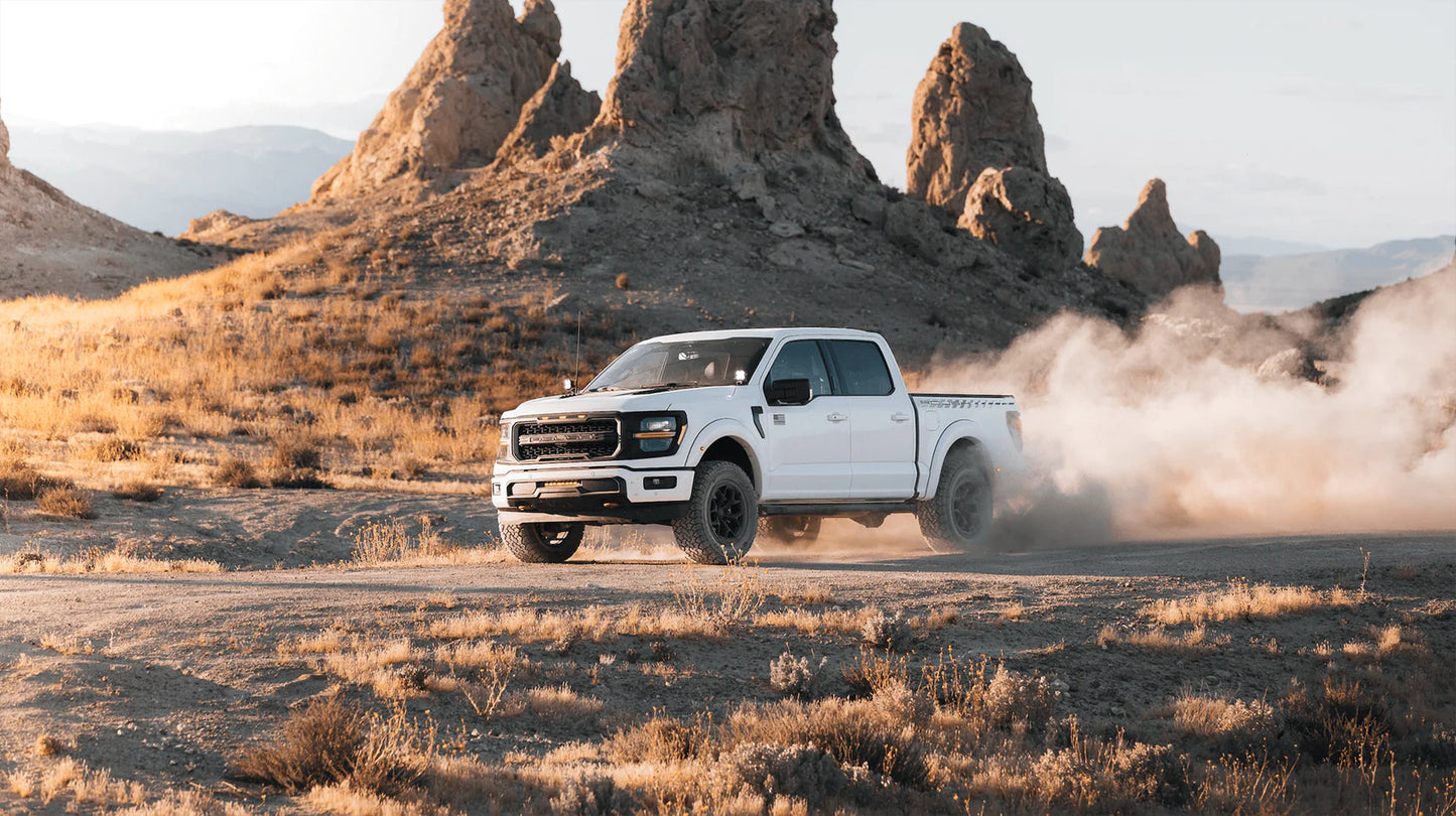 
                  
                    A white Roush F-150, a high-performance truck, drives on a dusty dirt road in a rocky desert landscape with dry grass and large rock formations in the background.
                  
                