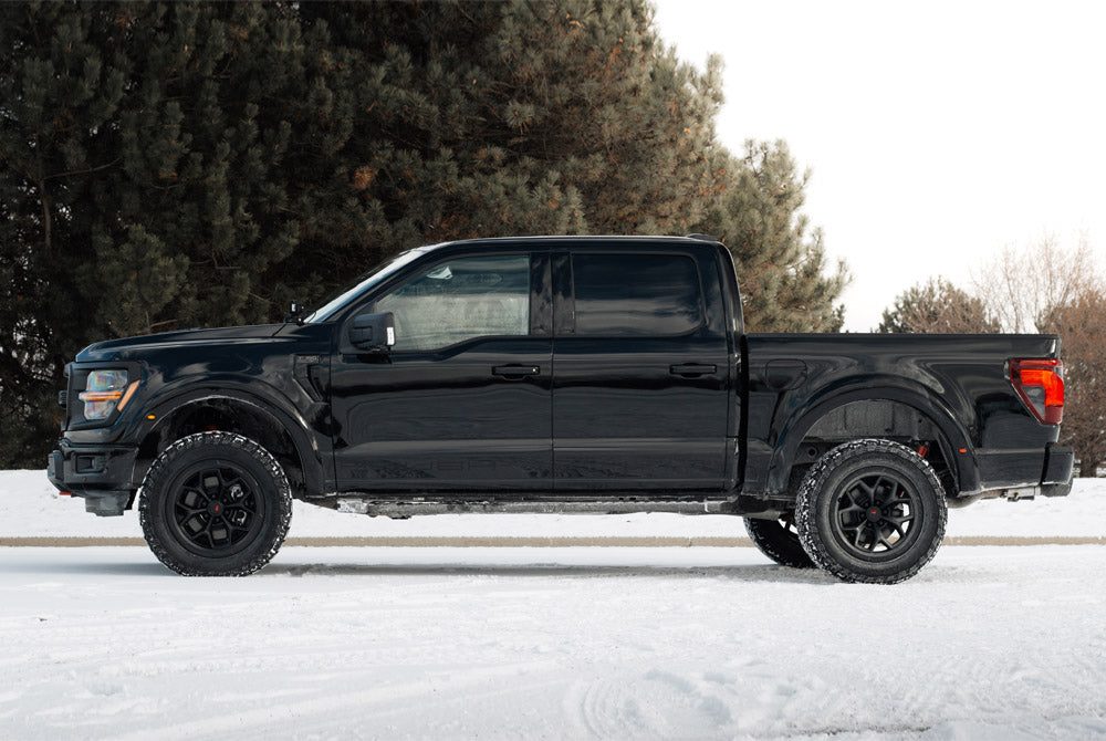 
                  
                    Side profile of a black 2025 Roush F-150 crew cab pickup truck parked on snow.
                  
                