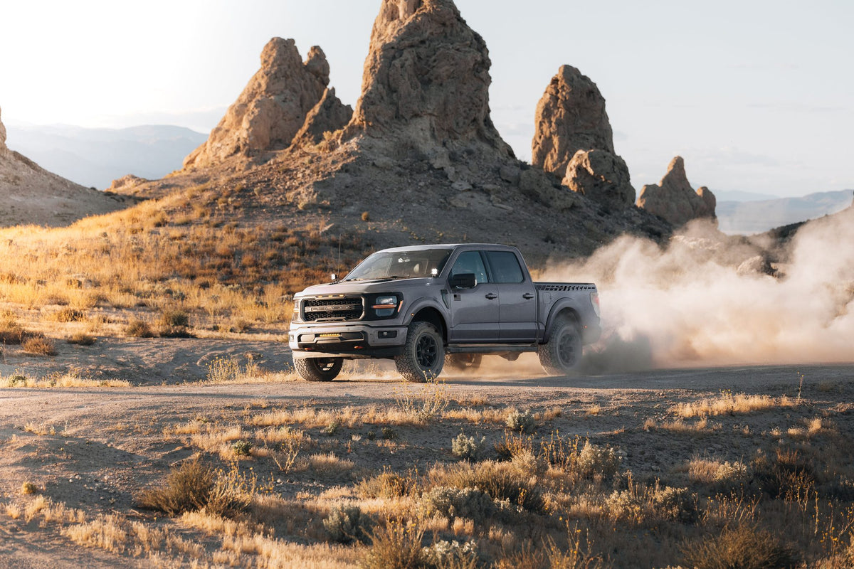 
                  
                    A gray 2025 Roush F-150 driving through a desert landscape, kicking up a cloud of dust.
                  
                