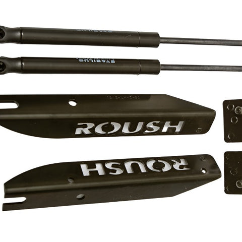 Mustang Hood Struts (2005-2014)