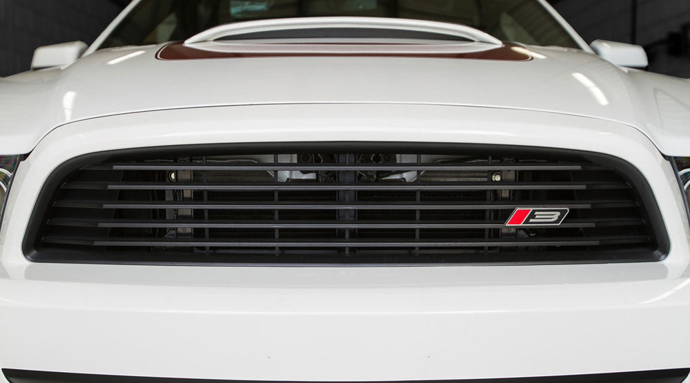 
                  
                    Close-up of the front grille of a white Ford Mustang, featuring a red and black "B3" badge, accentuated by a Roush Front Grille Kit.
                  
                