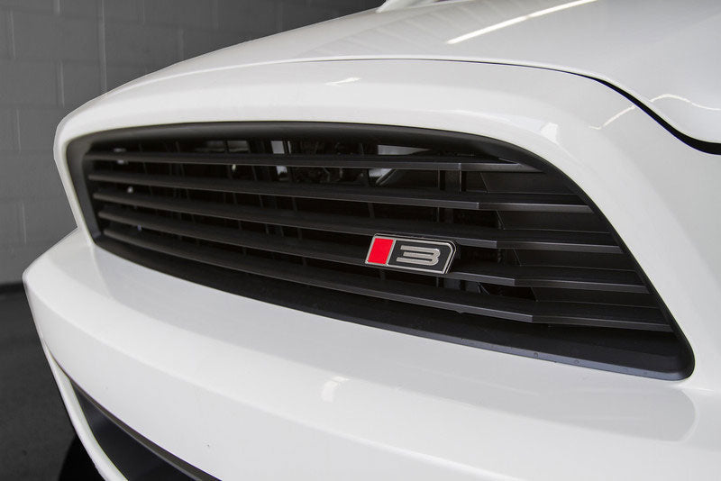 
                  
                    2013-2014 Roush Mustang - Front Grille Kit
                  
                