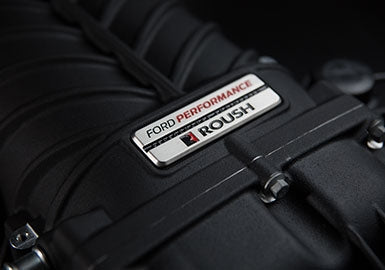 
                  
                    18-19 ROUSH F150 Supercharger Unit Badge Zoom
                  
                