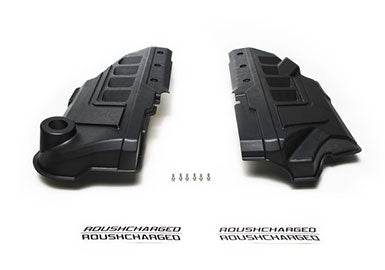 
                  
                    18-19 ROUSHcharged Mustang GT Coil Covers
                  
                