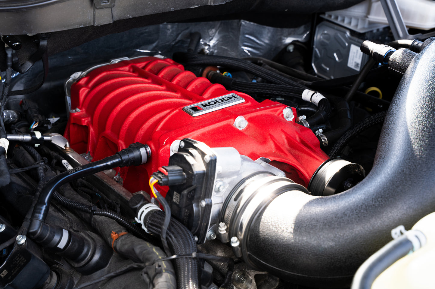 
                  
                    A bright red Roush supercharger kit installed on an engine, surrounded by black hoses, wiring, and engine components, delivers up to 705 horsepower—perfect for any F-150 supercharger enthusiast.
                  
                