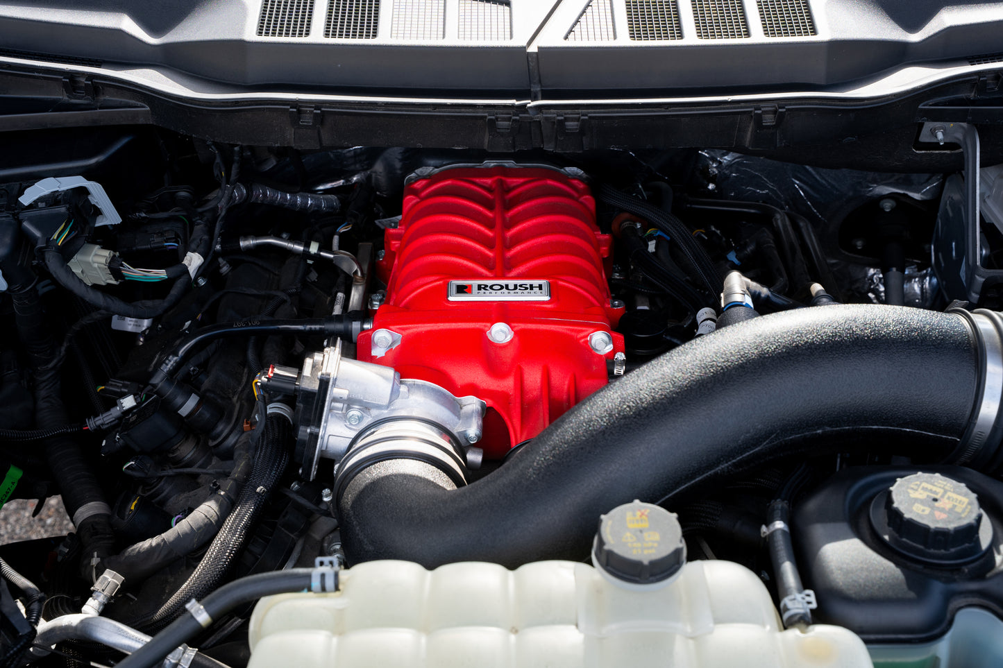 
                  
                    Close-up view of a car engine bay featuring a red Roush supercharger kit, boosting performance to an impressive 705 horsepower alongside various engine components.
                  
                