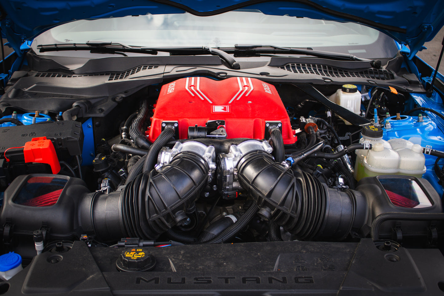 Close-up view of a Ford Mustang engine bay, featuring a red 2026 Roush Mustang Supercharger Kit and various high-performance components.