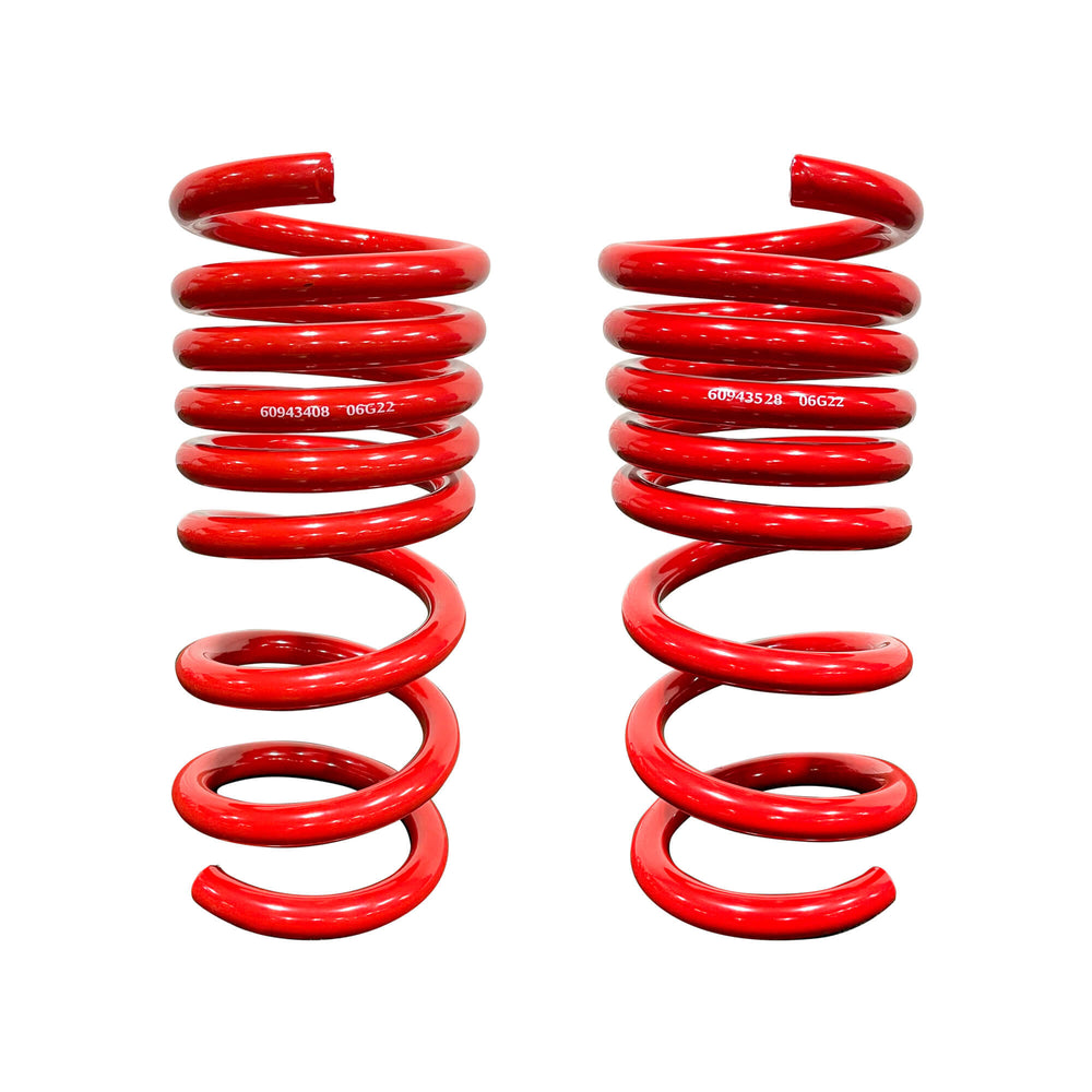 
                  
                    2018-2024 Roush Mustang MagneRide Lowering Springs
                  
                