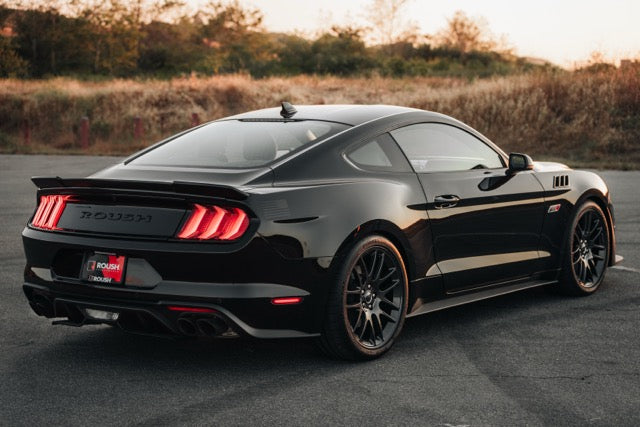 
                  
                    A black Roush Mustang performance track car is parked on pavement near dry grass and trees at sunset, viewed from the rear left side.
                  
                